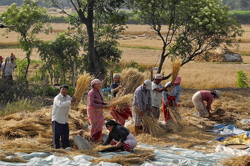 Sustainable farming practices